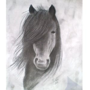 Meet your Posher, Jazmin